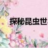 探秘昆蟲世界（關于探秘昆蟲世界簡介）