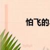 怕飛的鳥（關于怕飛的鳥介紹）