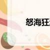 怒海狂濤（關于怒海狂濤介紹）