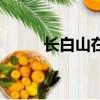 長白山在哪個省（長白山的簡介）