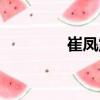 崔鳳震（關于崔鳳震簡介）