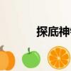 探底神針（關于探底神針簡介）