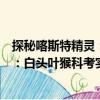 探秘喀斯特精靈：白頭葉猴科考實錄（關于探秘喀斯特精靈：白頭葉猴科考實錄簡介）