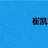 崔凱軍（關于崔凱軍簡介）
