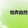 怕奔自然村（關于怕奔自然村介紹）