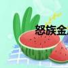 怒族金屬（關于怒族金屬介紹）