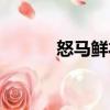 怒馬鮮衣（關于怒馬鮮衣介紹）