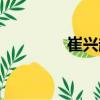 崔興超（關于崔興超簡介）