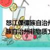 怒江傈僳族自治州非物質文化遺產保護條例（關于怒江傈僳族自治州非物質文化遺產保護條例介紹）