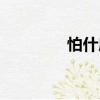 怕什麼（關于怕什麼介紹）