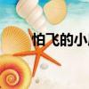 怕飛的小鷹（關于怕飛的小鷹介紹）