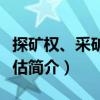 探礦權、采礦權評估（關于探礦權、采礦權評估簡介）