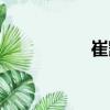 崔凱（關于崔凱簡介）