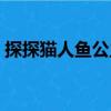 探探貓人魚公主（關于探探貓人魚公主簡介）