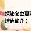 探秘冬蟲夏草 配增值（關于探秘冬蟲夏草 配增值簡介）