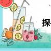 探手（關于探手簡介）