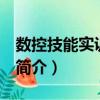 數控技能實訓 中級（關于數控技能實訓 中級簡介）