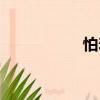 怕羞（關于怕羞介紹）