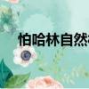 怕哈林自然村（關于怕哈林自然村介紹）