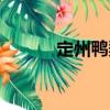 定州鴨梨（關于定州鴨梨介紹）