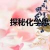 探秘化學思維（關于探秘化學思維簡介）