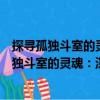 探尋孤獨斗室的靈魂：深度訪談世界文學大師（關于探尋孤獨斗室的靈魂：深度訪談世界文學大師簡介）