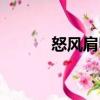 怒風肩甲（關于怒風肩甲介紹）