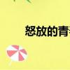 怒放的青春（關于怒放的青春介紹）