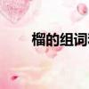 榴的組詞和拼音（榴的組詞有哪些）