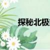 探秘北極熊（關于探秘北極熊簡介）