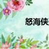 怒海俠盜（關于怒海俠盜介紹）