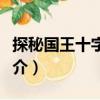 探秘國王十字車站（關于探秘國王十字車站簡介）