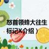 怒首領蜂大往生：黑色標記X（關于怒首領蜂大往生：黑色標記X介紹）