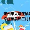 定州市大辛莊鎮泉邱三村黨支部志愿服務隊（關于定州市大辛莊鎮泉邱三村黨支部志愿服務隊介紹）