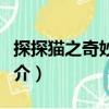 探探貓之奇妙世界（關于探探貓之奇妙世界簡介）