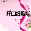 開口細胞狀云（關于開口細胞狀云介紹）