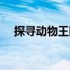 探尋動物王國（關于探尋動物王國簡介）