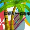 探春令·一春春暖似春寒（關于探春令·一春春暖似春寒簡介）