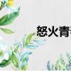 怒火青春（關于怒火青春介紹）