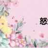 怒焰（關于怒焰介紹）