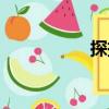 探撿（關于探撿簡介）