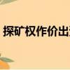 探礦權作價出資（關于探礦權作價出資簡介）