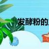 發酵粉的主要成分（主要成分介紹）