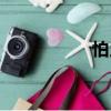 怕人（關于怕人介紹）