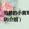 怕羞的小黃鶯(DVD)（關于怕羞的小黃鶯(DVD)介紹）