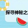 探尋神秘之旅（關于探尋神秘之旅簡介）