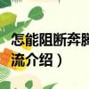 怎能阻斷奔騰的河流（關于怎能阻斷奔騰的河流介紹）