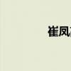 崔鳳高（關于崔鳳高簡介）