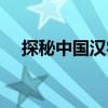 探秘中國漢字（關于探秘中國漢字簡介）