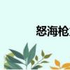 怒海槍火（關于怒海槍火介紹）